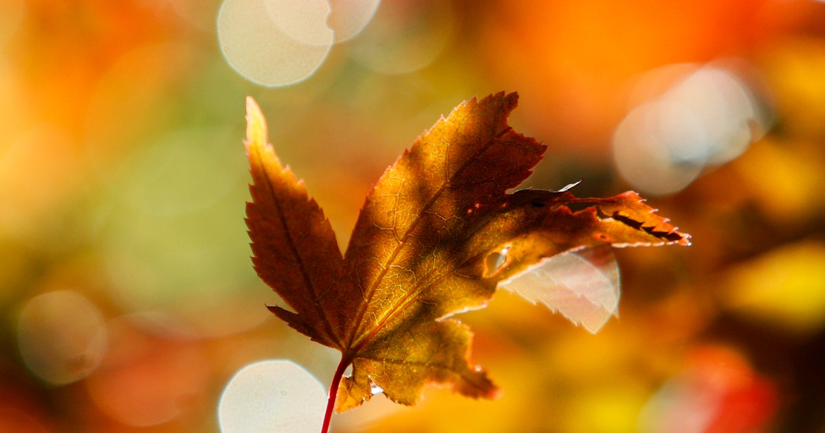 Fall into year When Is The First Day Of Fall In 2018? Here’s Your Official Countdown To Cooler Weather