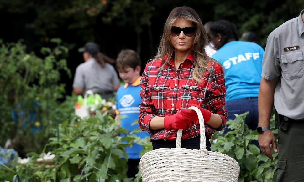 ÐÐ°ÑÑÐ¸Ð½ÐºÐ¸ Ð¿Ð¾ Ð·Ð°Ð¿ÑÐ¾ÑÑ Melania Trump in Michelle Obama's vegetable garden memes
