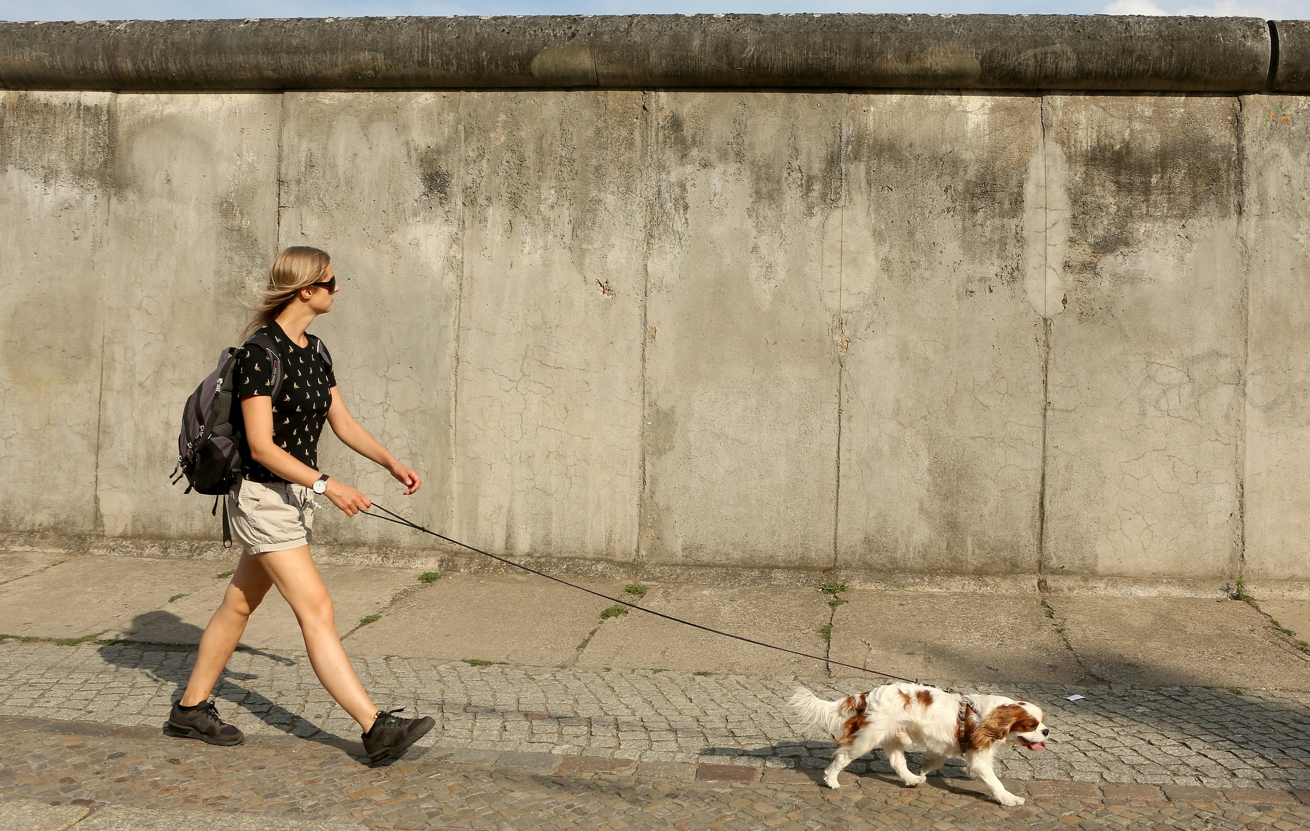 9 Questions To Ask A Dog Walker Before You Hire Them, Because Your Pet