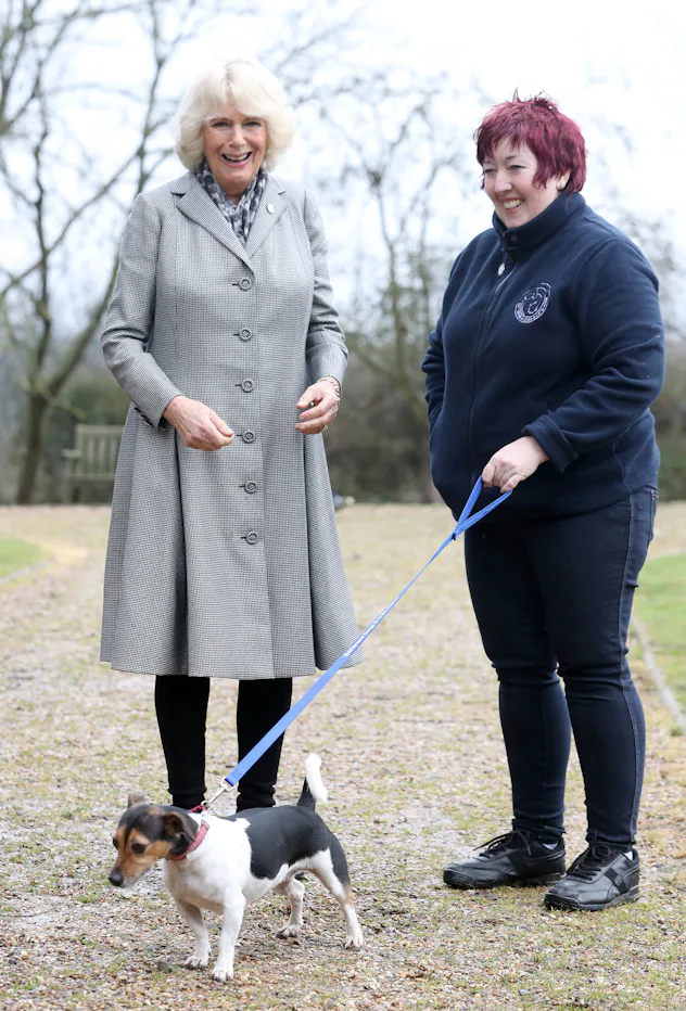 8 Pets That The Royal Family Currently Has, Because Their Love For