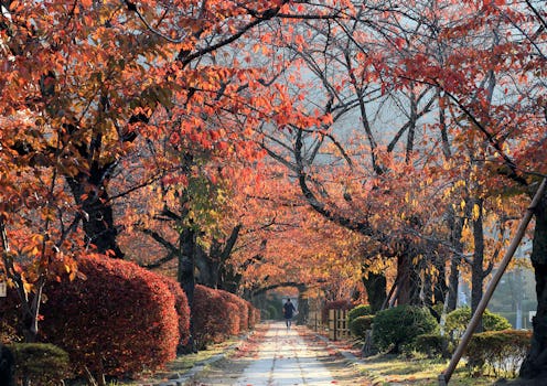 Where To Go See The Leaves Change: The 10 Best Places For Leaf-Peeping ...