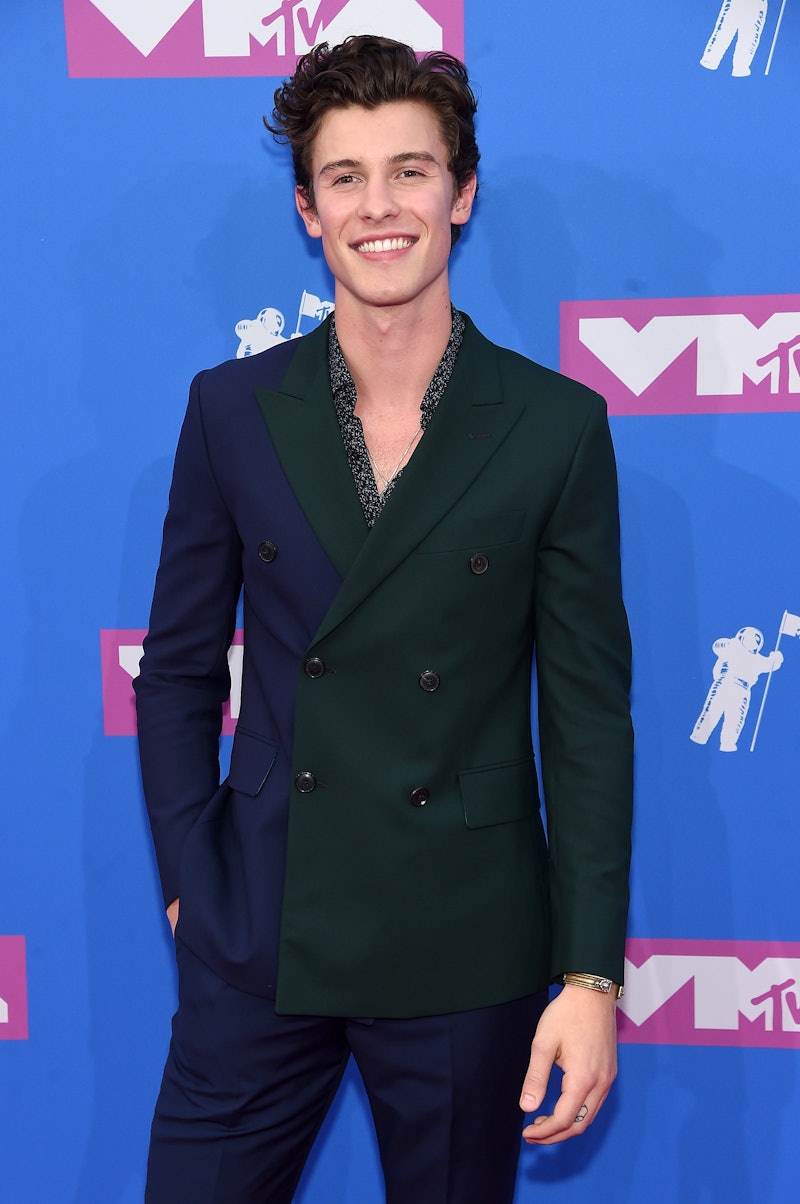 Shawn Mendes Is Single Right Now & He's Totally Embracing It