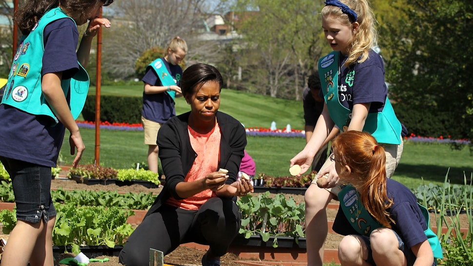 What Happened To Michelle Obama S Garden Shows Melania Trump Is