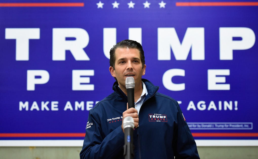 Can Donald Trump Jr. Run For President? Here's What To Know
