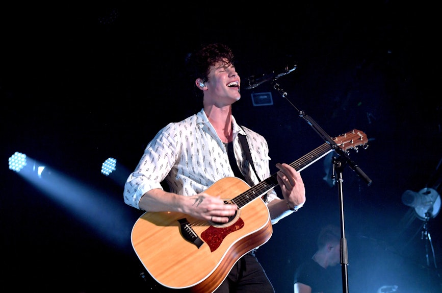 Shawn Mendes' "In My Blood" Lyrics Are So Deeply Personal
