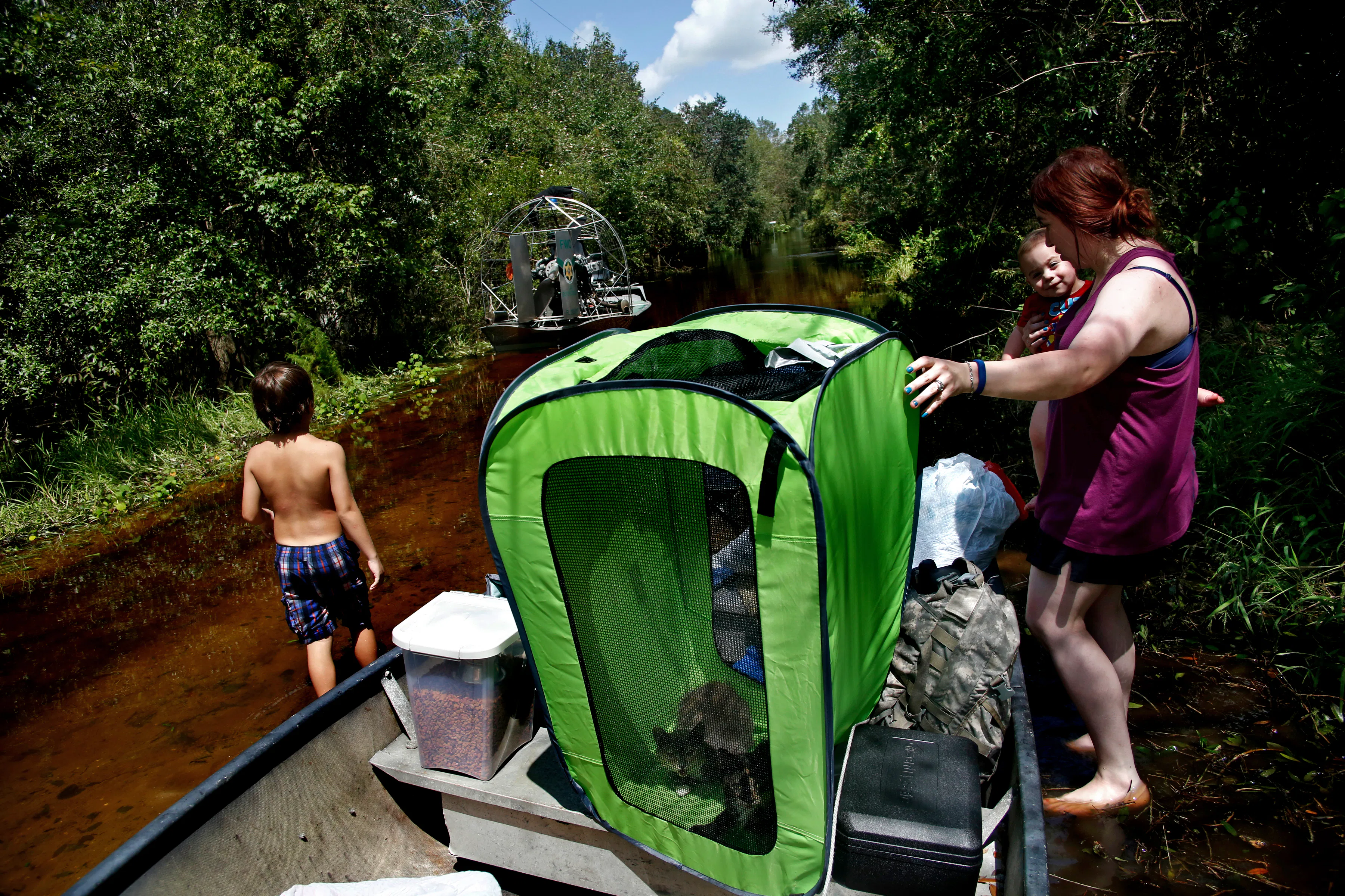 Hurricane Evacuation Plans For Pets Exist, Because You Don't Want To ...