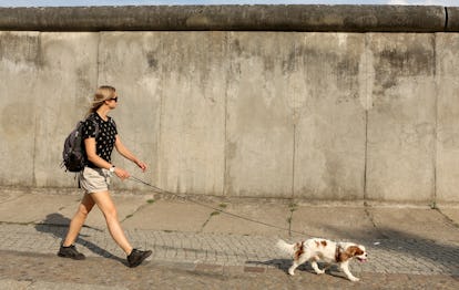 Is it hard to raise a dog?