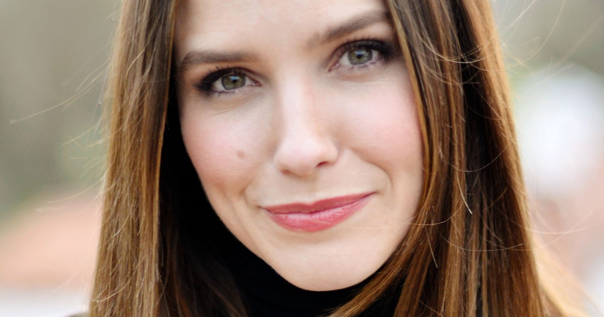 Sophia Bush's New TV Show 'Surveillance' Sounds Like It Will Definitely
