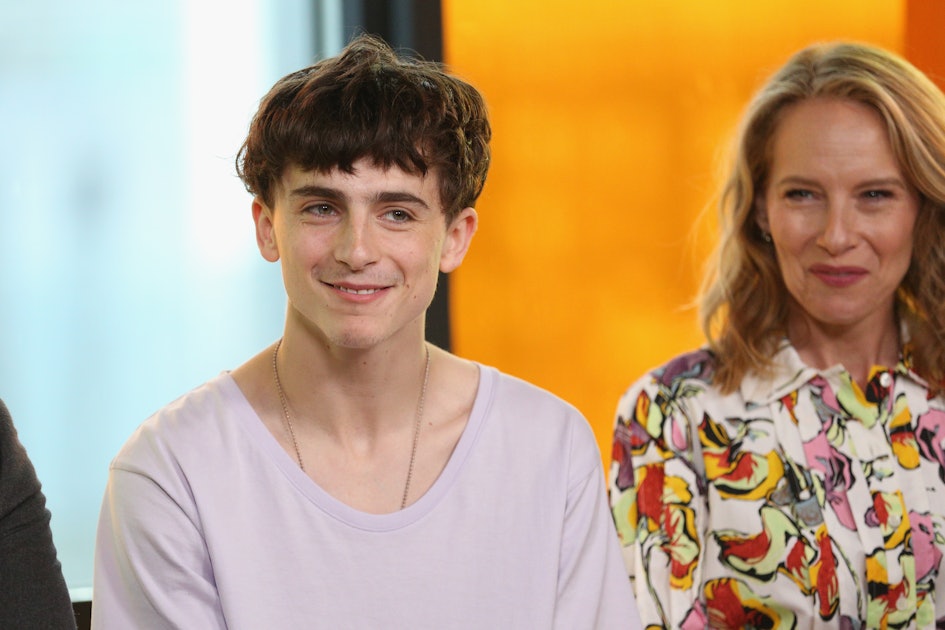 Timothee Chalamet Hairstyles And Haircuts - Celebrities