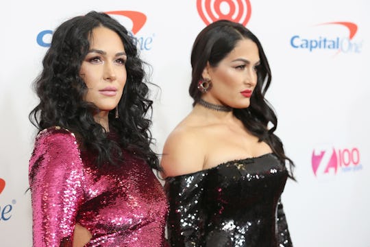 Is Brie Bella Pregnant Again? 'Total Bellas' Star Is Planning To Have ...