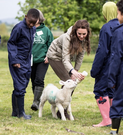 Kate Middleton feeds an adorable lamb.