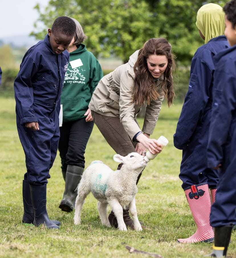 Kate Middleton feeds an adorable lamb.