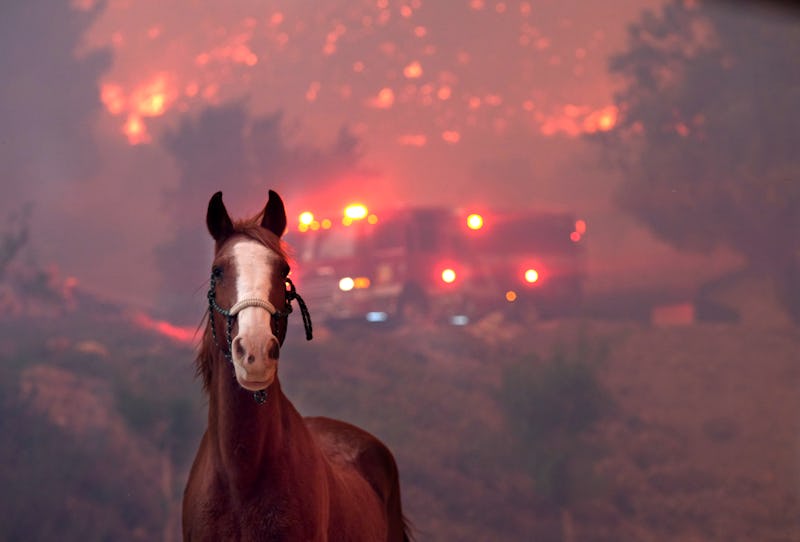 Prevent wildfires by avoiding doing these things in a fire zone.