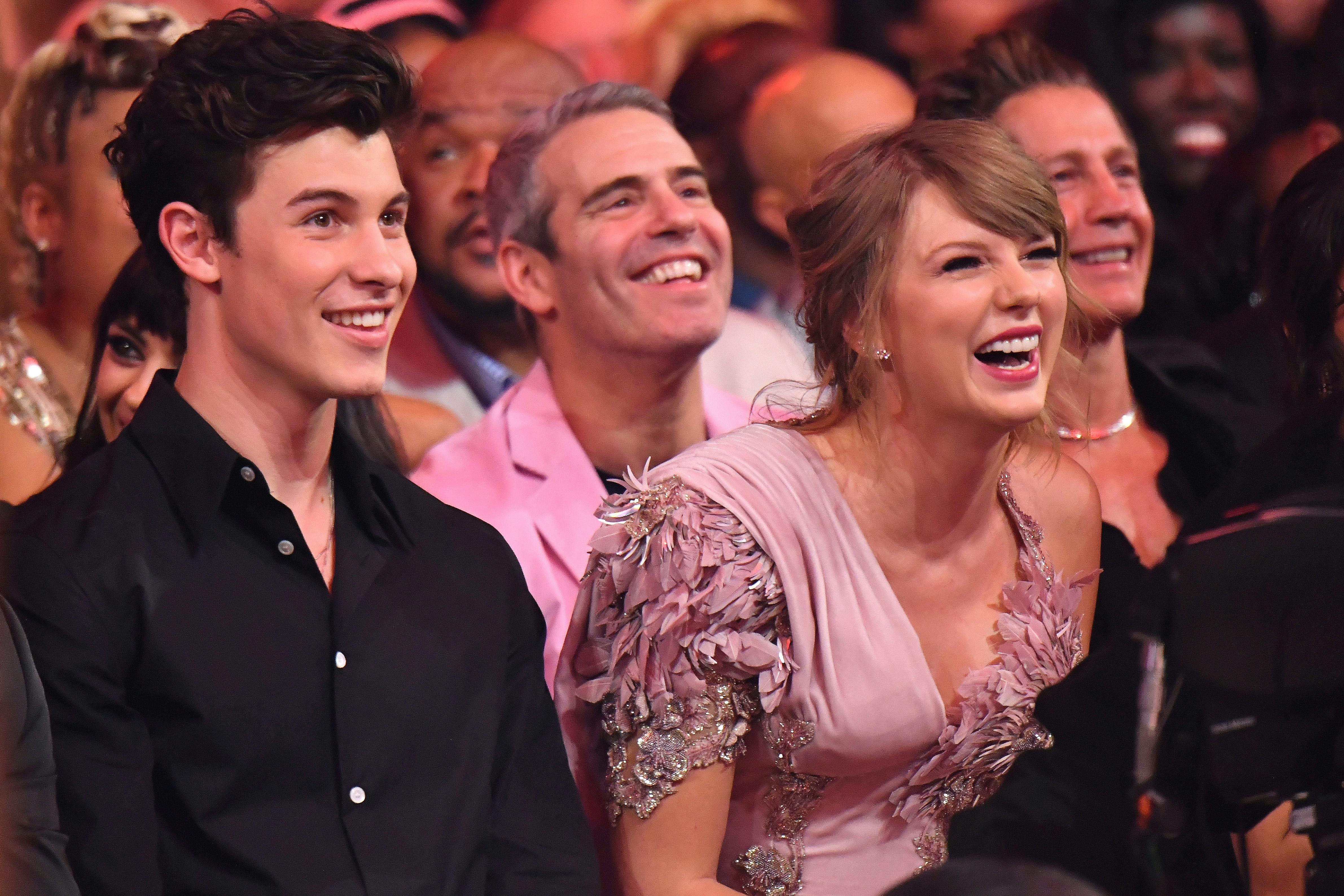 Taylor Swift Shawn Mendes Lover Remix Has New Lyrics