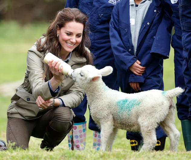 After being served almond milk a few too many times, Kate Middleton the myth about her love for the ...
