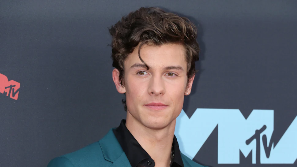 Image result for shawn mendes