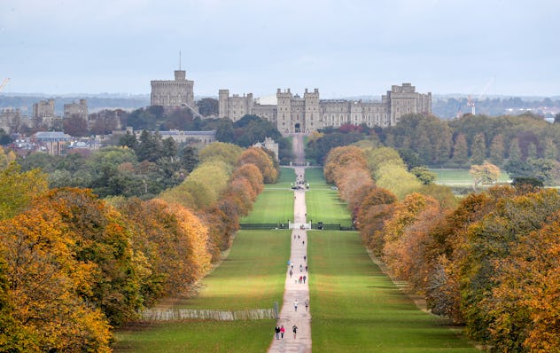 Thankfully, venomous spiders don't live under Windsor Castle. 