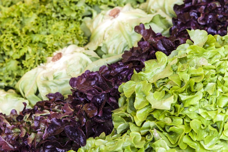 Various kinds of lettuce are laid out in a gorcery store, ready to be purchase. Ready Pac lettuce ha...