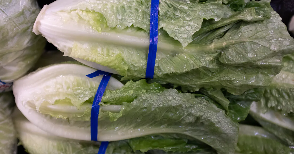 CDC Warns Of E. Coli Outbreak Linked To Romaine Lettuce Days Before ...