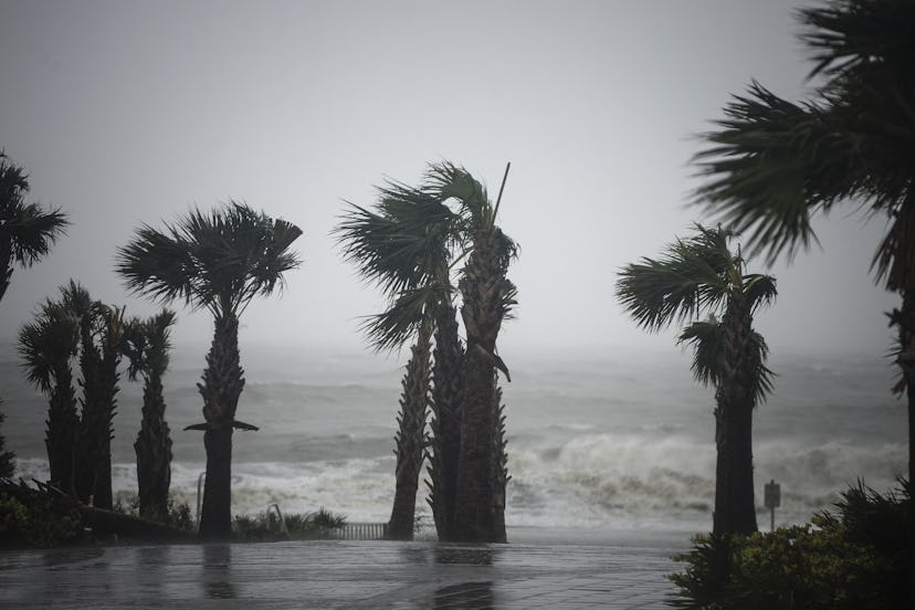 A heavy thunderstorm and a beach causing a flood and large palm trees being moved by the wind