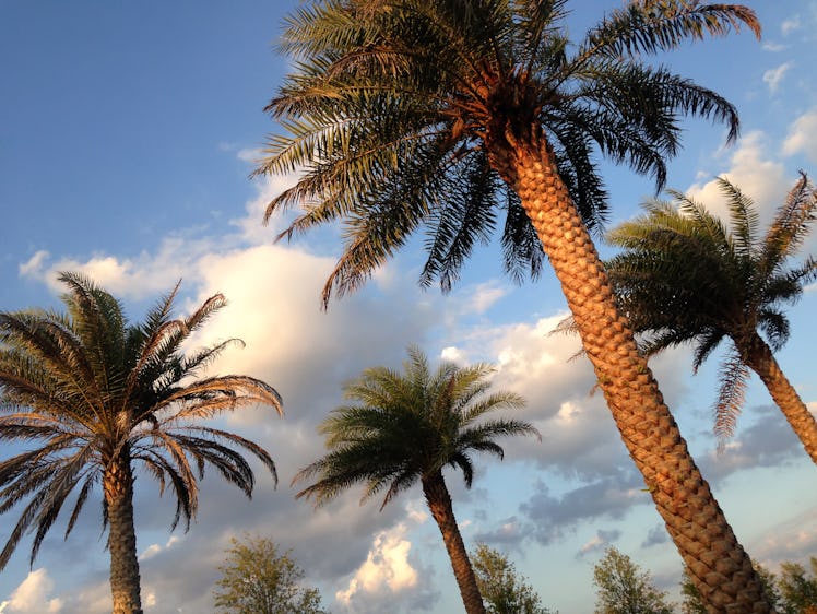 Southwest Airlines' December 2019 4-Day Flight Sale