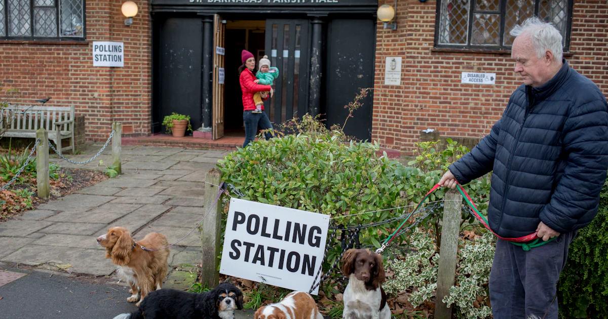 Dog Voting 29 Dogs At Polling Stations To Get You Through Election Day