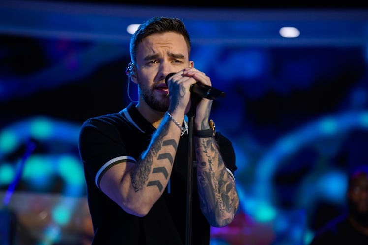 Liam Payne performs live in concert.