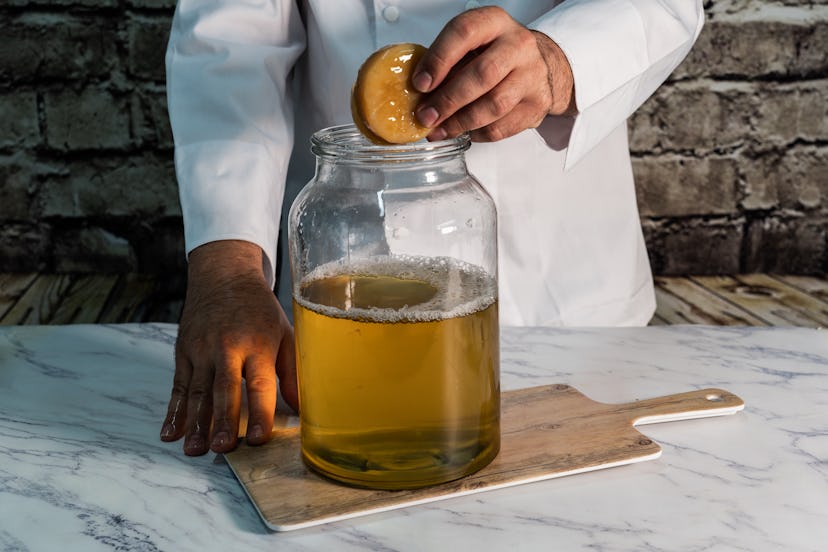 A kombucha maker places a SCOBY in a vial of kombucha. Kombucha and hard cider differ in many ways, ...