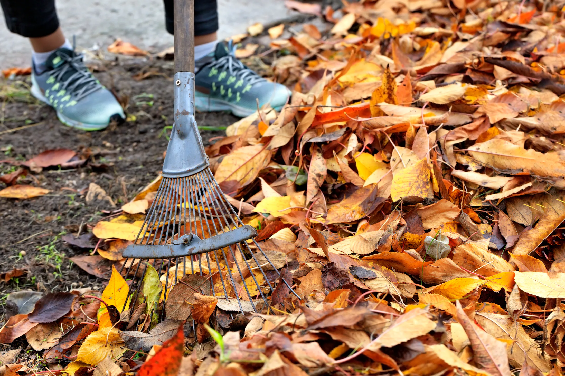 Fall Weather Exercise Outdoor Exercises That Are Perfect For Fall