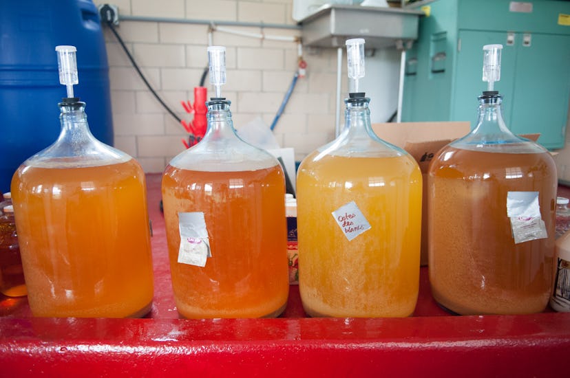 Hard cider ferments in vats. While both kombucha and cider are made using fermentation, they have di...