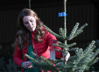 Kate Middleton favors a Christmas tree that smells good and doesn't drop too many needles.