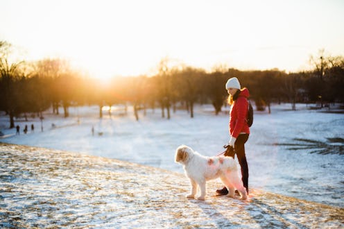 A woman walks a dog in a winter landscape. After the winter solstice, changing light and temperature...
