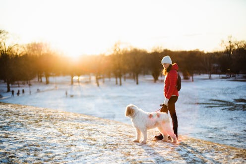 A woman walks a dog in a winter landscape. After the winter solstice, changing light and temperature...