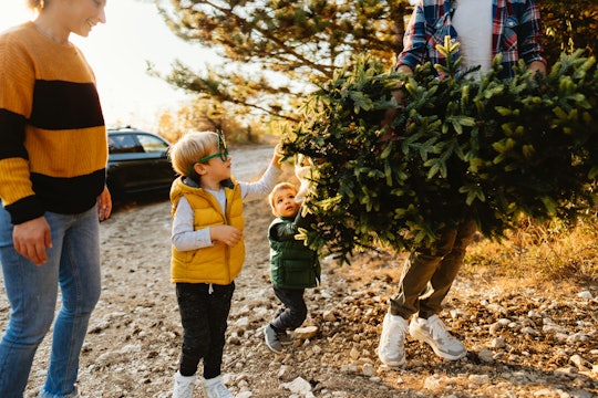 a family bringing their live Christmas tree home