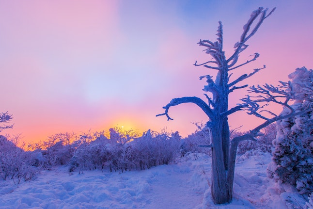 Dawn on a winter landscape. The brain's fear response and cortisol reactions can change in winter months as the days become shorter. 