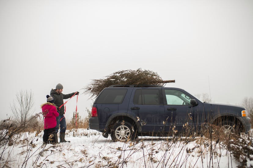 Your Christmas tree may leave a trail of sap on your car's exterior, but there's a way to remove it.