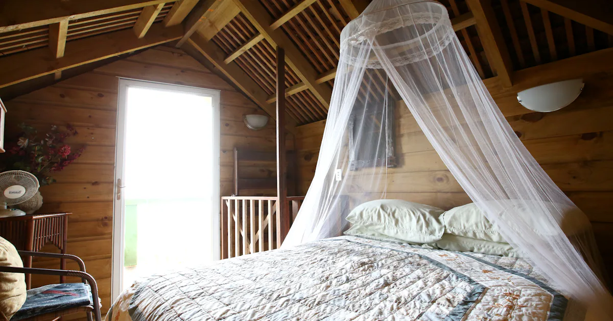 Popular Airbnb Rentals The Most Popular Airbnb Rentals, According To Instagram