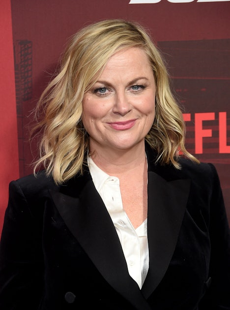Amy Poehler Is Directing A New Netflix Movie That Will Help You Channel ...