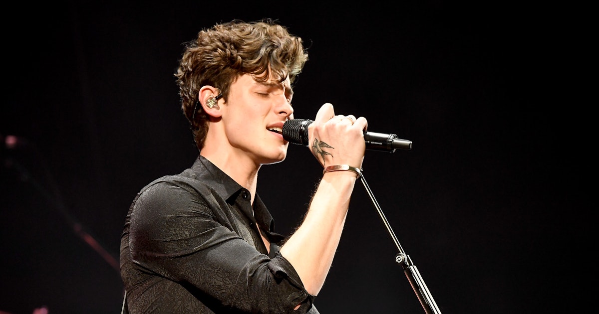 Shawn Mendes 2019 Grammys Performance Included The