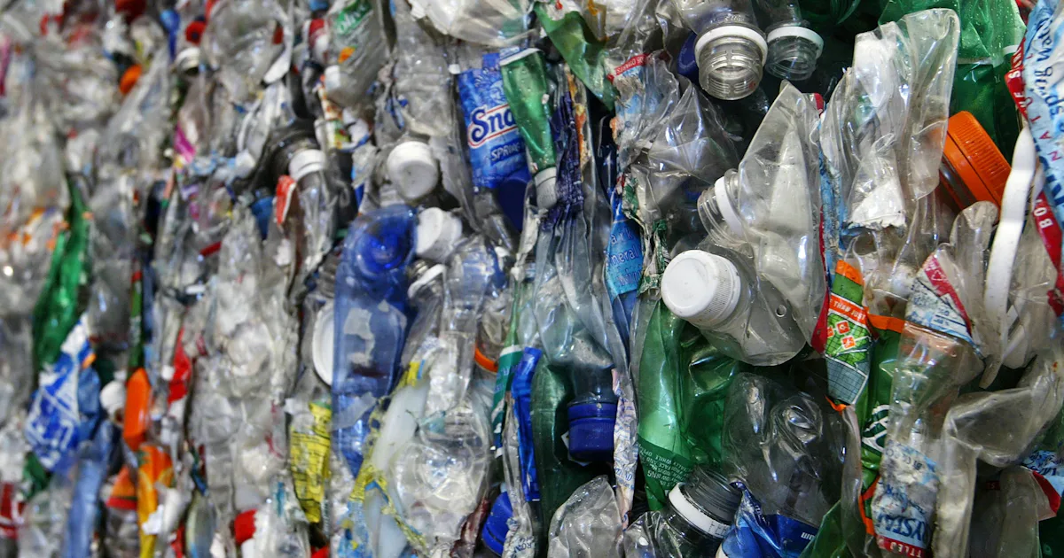 Why Should You Care About BPA? The Chemical May Carry These Health Risks