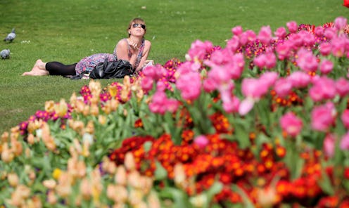 Brown hair lady wearing sunglasses while lying down in the grass under the sun