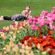 Brown hair lady wearing sunglasses while lying down in the grass under the sun