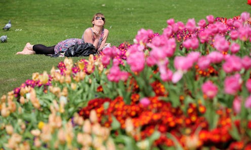 Brown hair lady wearing sunglasses while lying down in the grass under the sun