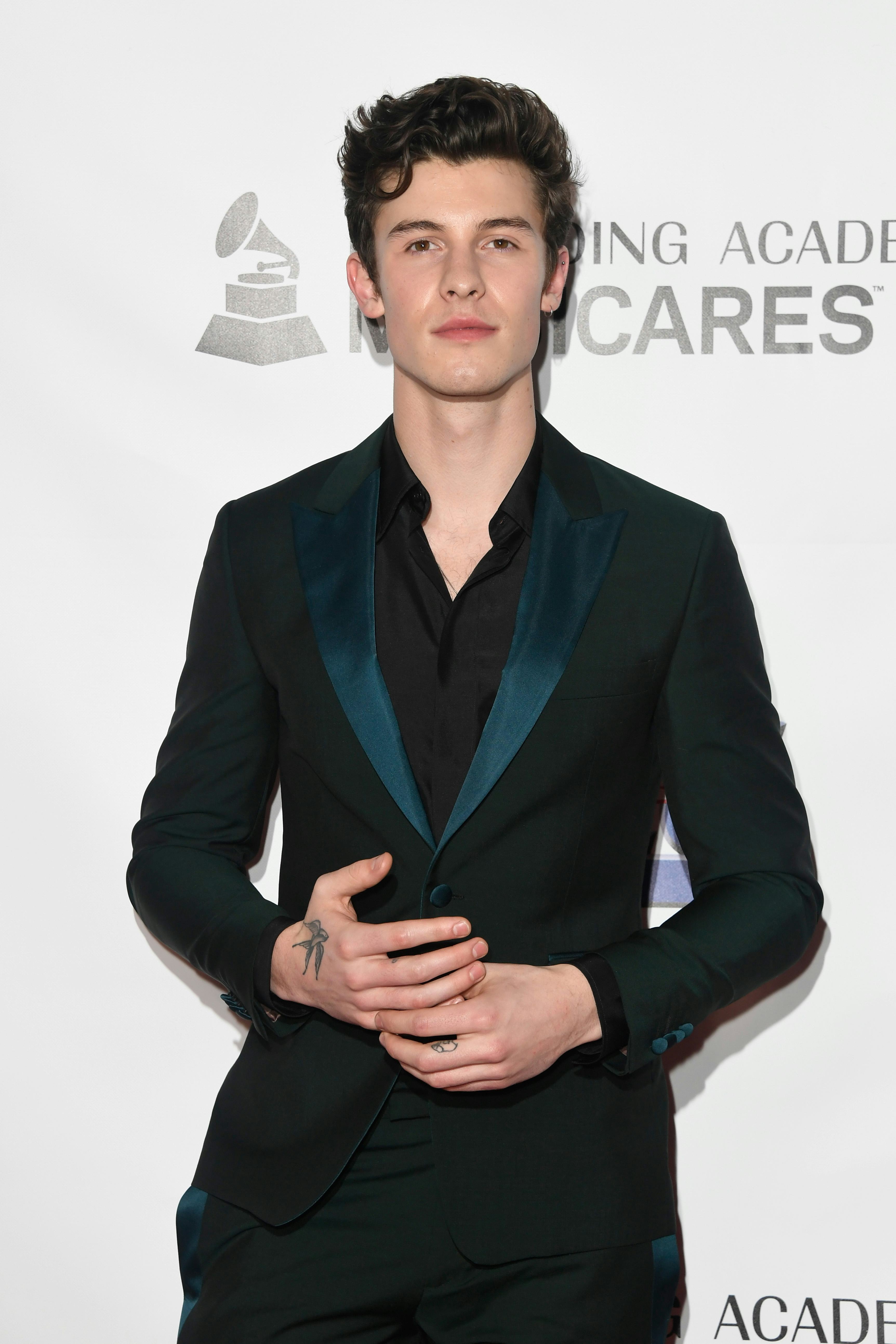 Shawn Mendes Admitted Questions About His Sexuality Are "Hurtful" For A ...