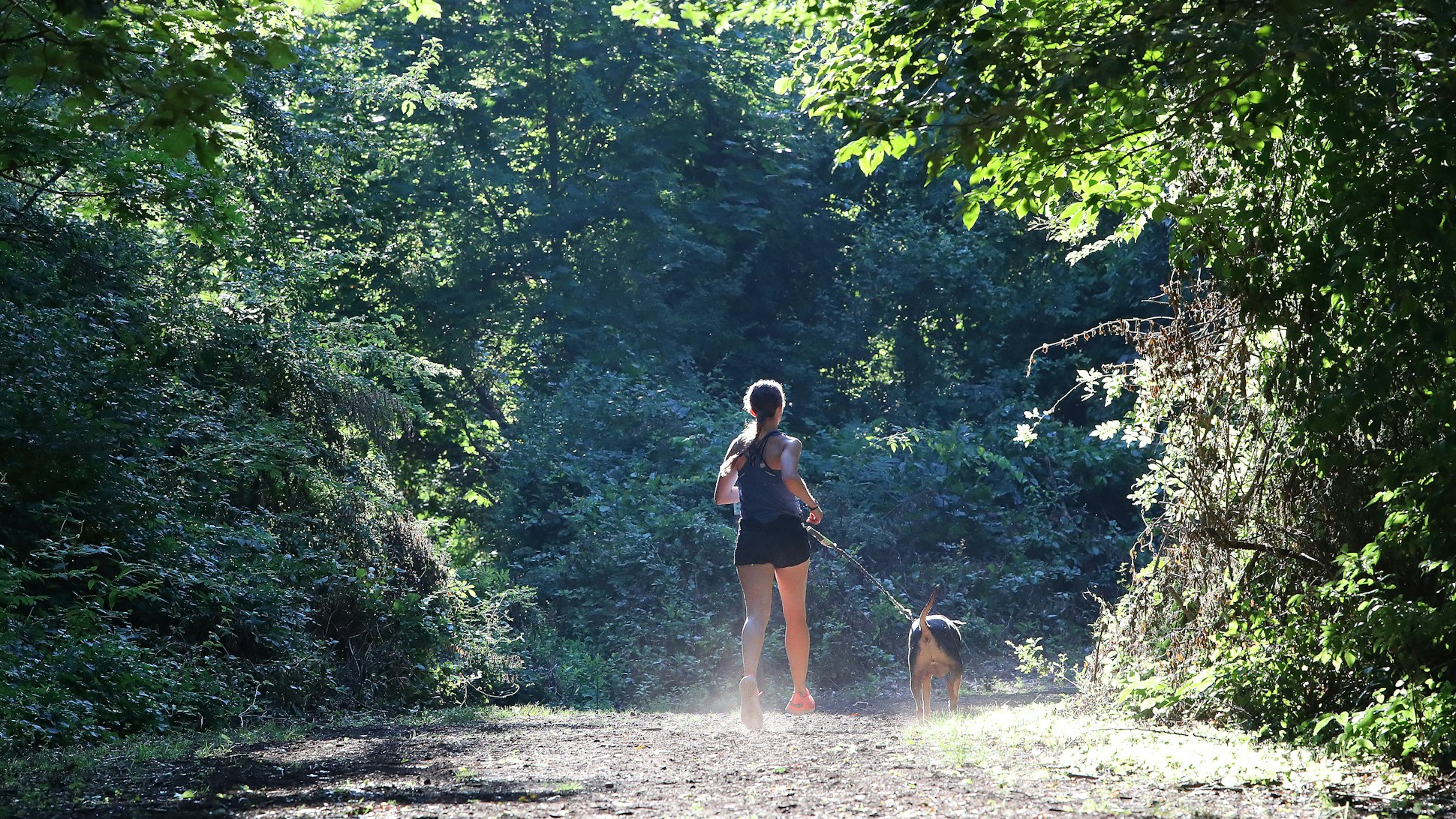 The 6 Best Dog Breeds For Trail Runners