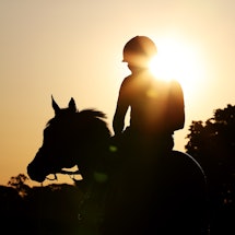 A rider on his horse silhouetted by the sunlight