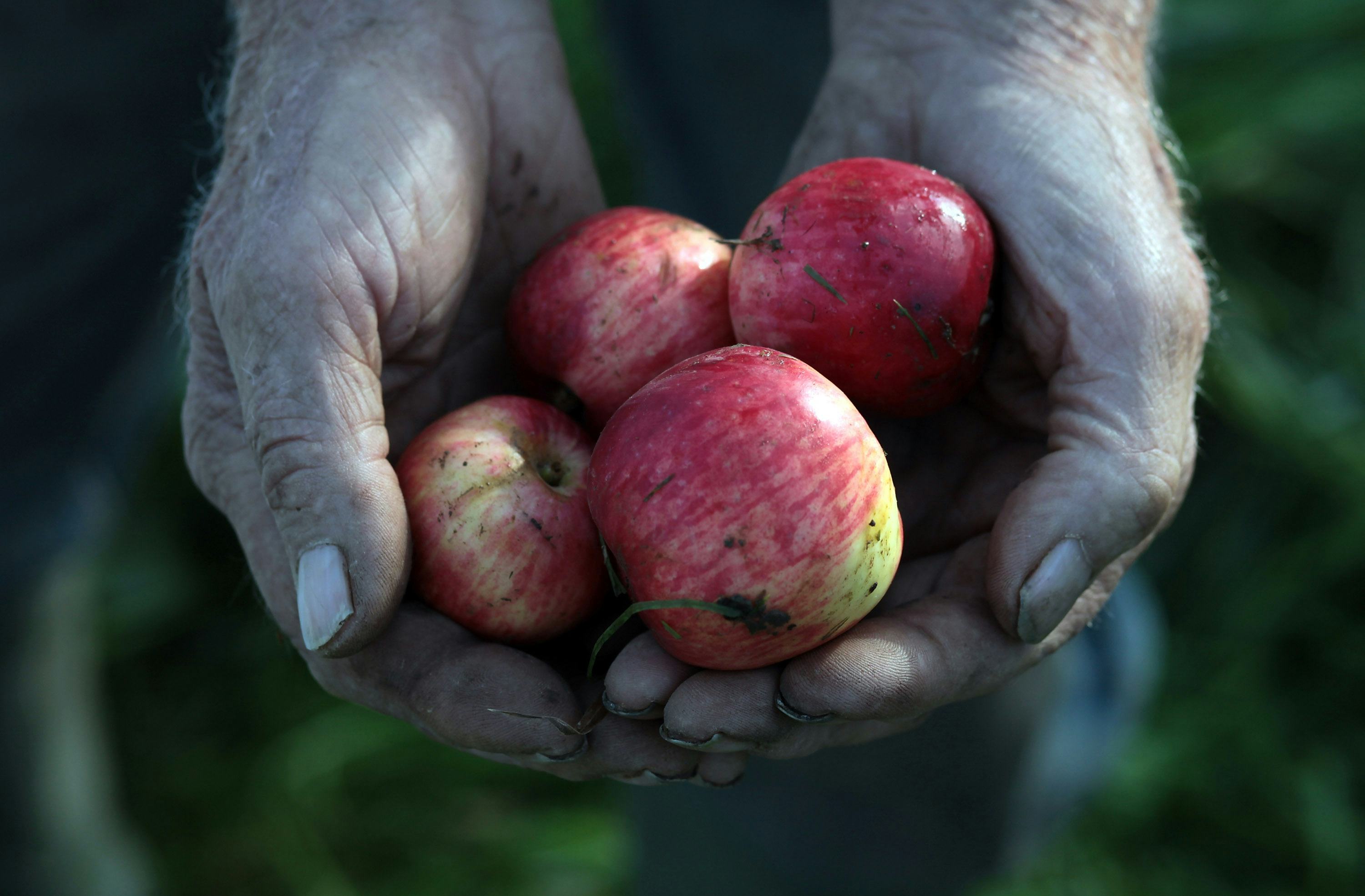 22 Foods That Can Trigger IBS Symptoms, According To Doctors