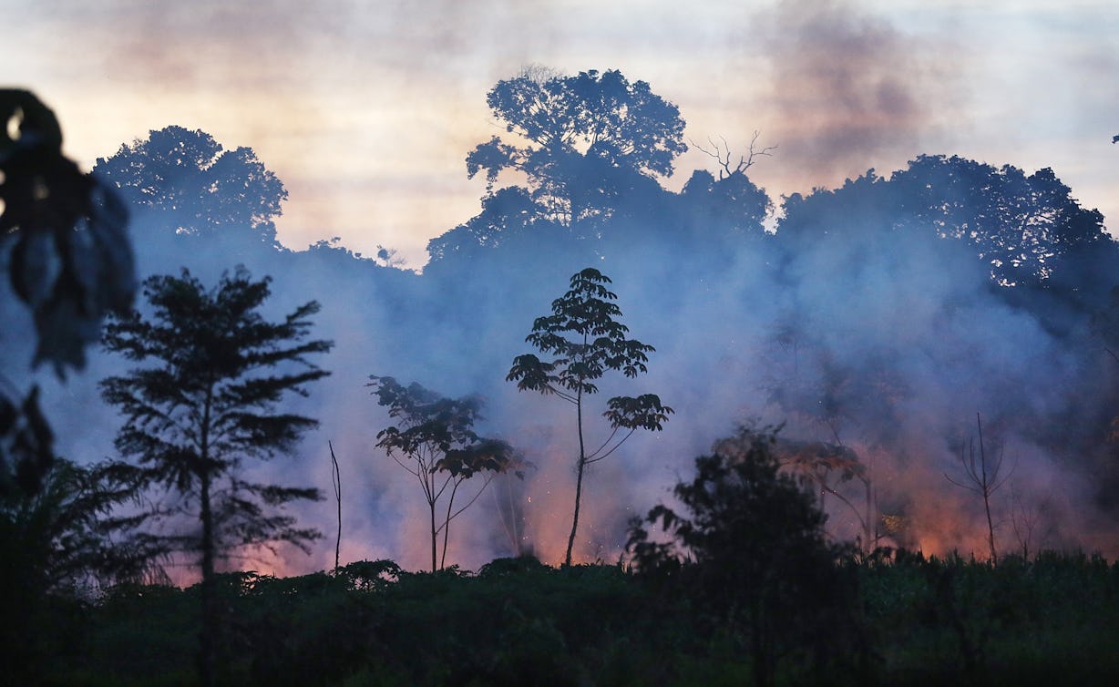 How Did The Amazon Rainforest Fires Start? Humans Are To Blame