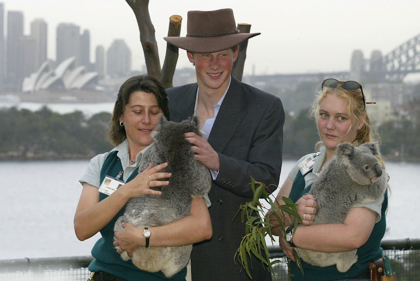Prince Harry cuddled up to koalas in 2003.