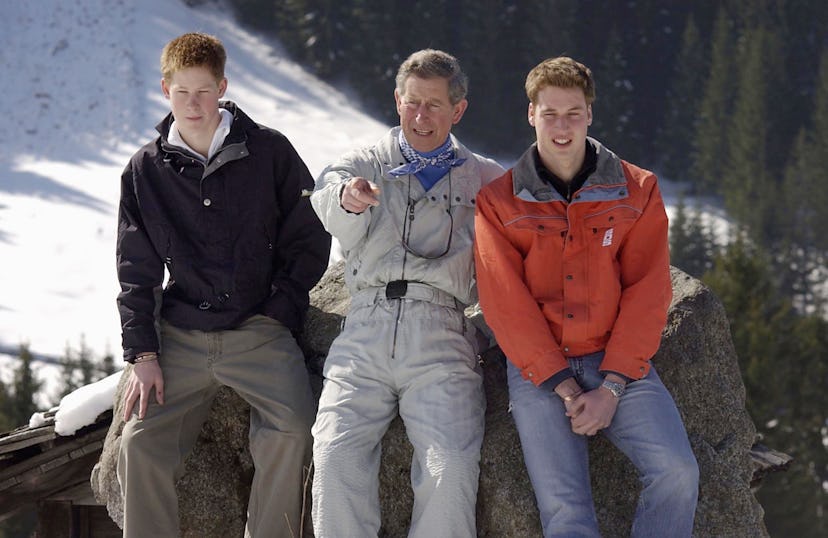 Prince Harry appeared on a 2002 vacation with his dad and brother.